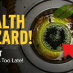 Vancouver’s Most Neglected Appliance: Why Your Garbage Disposal is a Health Hazard (and How to Save It Before It’s Too Late)